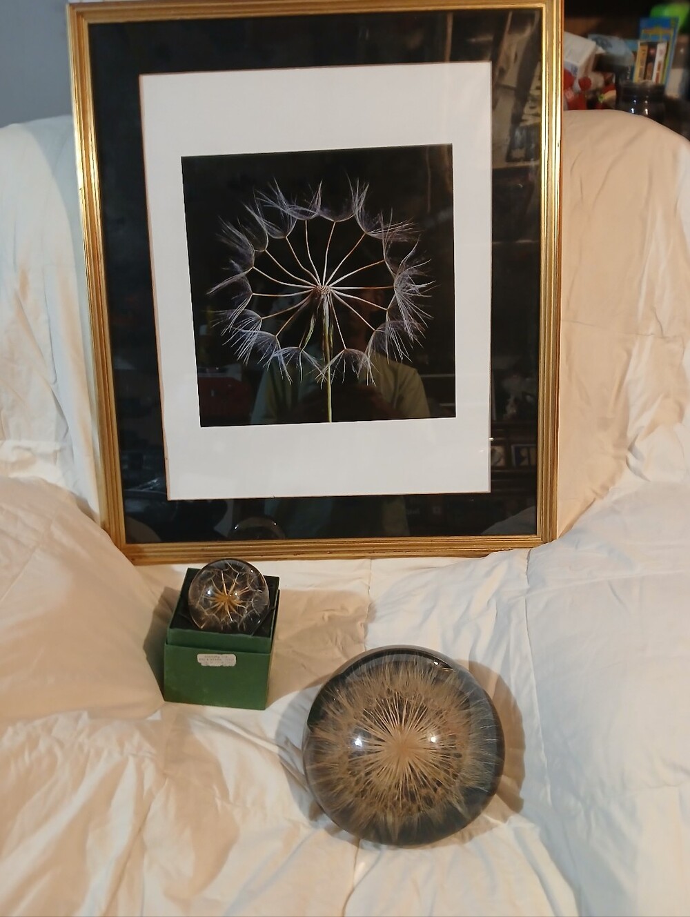 Lot of Dandelions themed Home Decor  picture one xlarge and regular paperweights